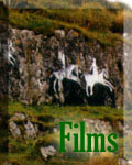 movies